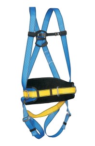 Szelki bezpieczeństwa P-02S AB 102 02 - PROTEKT