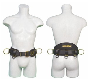 Szelki PROFESSIONAL (CA021) - ASSECURO