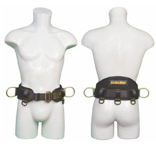 Szelki PROFESSIONAL Assecuro CA021